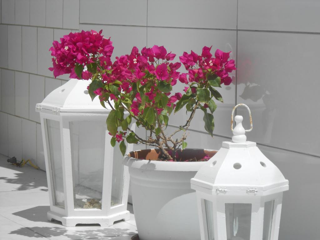 Nicolas Antiparos ciudad Habitación foto